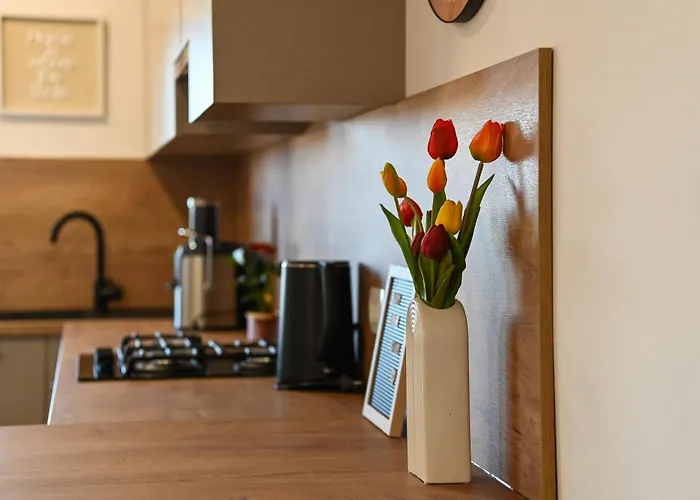 Veliki Apartman Petra